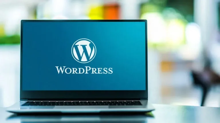 Dropshipping Store WordPress
